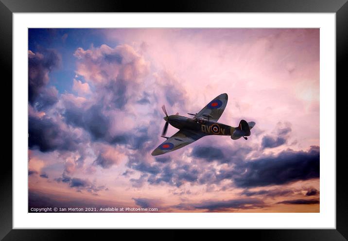 Evening Flight Framed Mounted Print by Ian Merton