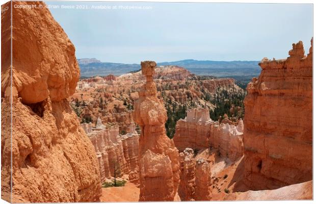 Bryce Canyon Hoodoo Canvas Print by Adrian Beese