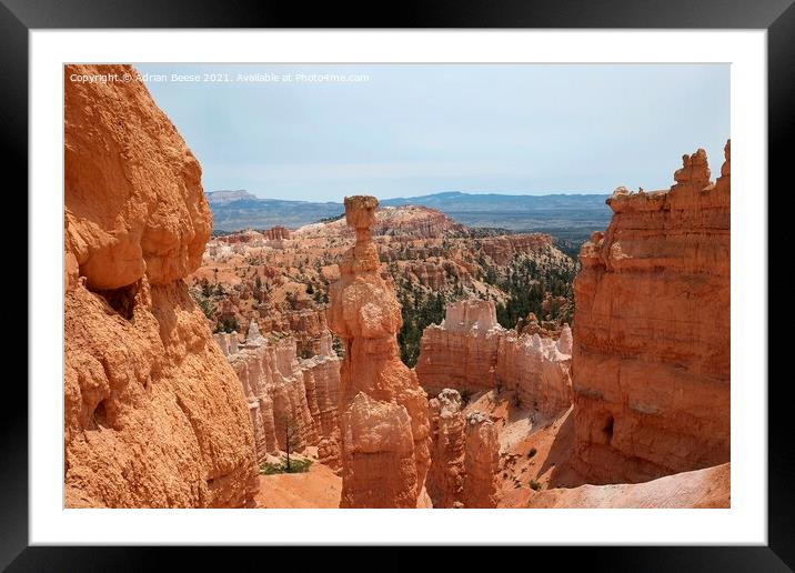 Bryce Canyon Hoodoo Framed Mounted Print by Adrian Beese