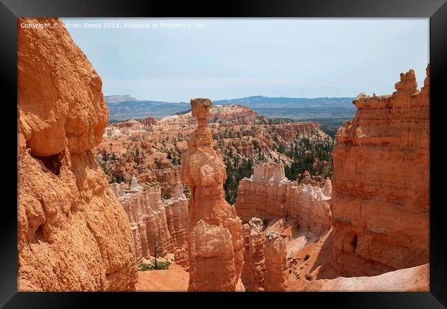 Bryce Canyon Hoodoo Framed Print by Adrian Beese