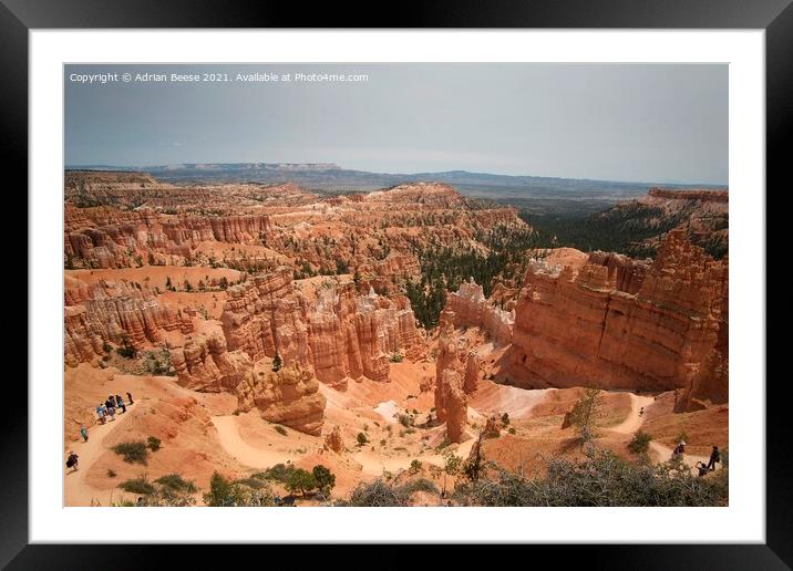 Bryce Canyon Amphitheatre Utah Framed Mounted Print by Adrian Beese