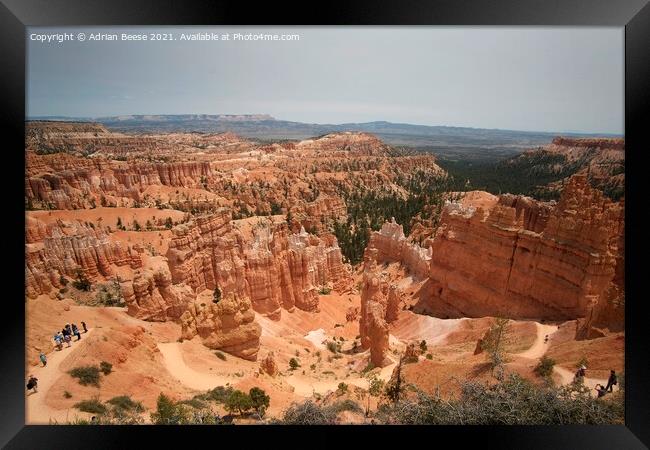 Bryce Canyon Amphitheatre Utah Framed Print by Adrian Beese