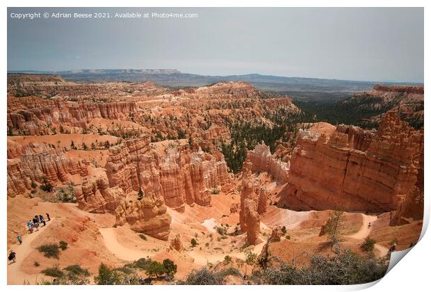 Bryce Canyon Amphitheatre Utah Print by Adrian Beese