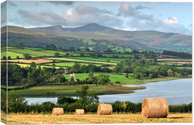 Summer Morning at Llangorse Lake. Canvas Print by Philip Veale