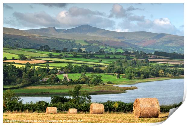 Summer Morning at Llangorse Lake. Print by Philip Veale