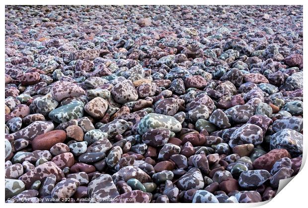 Pebbles on the seashore Print by Joy Walker