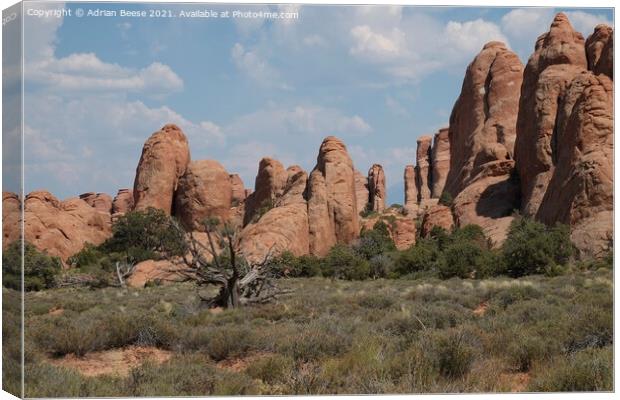 A all of red rock pillars in Arches National Park Canvas Print by Adrian Beese