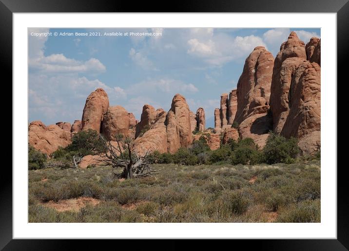 A all of red rock pillars in Arches National Park Framed Mounted Print by Adrian Beese