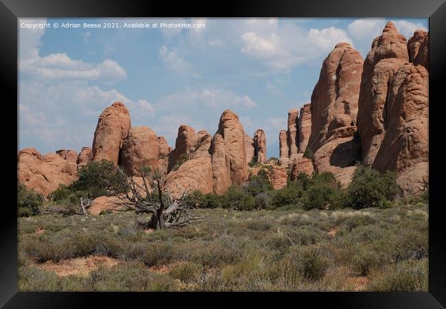 A all of red rock pillars in Arches National Park Framed Print by Adrian Beese