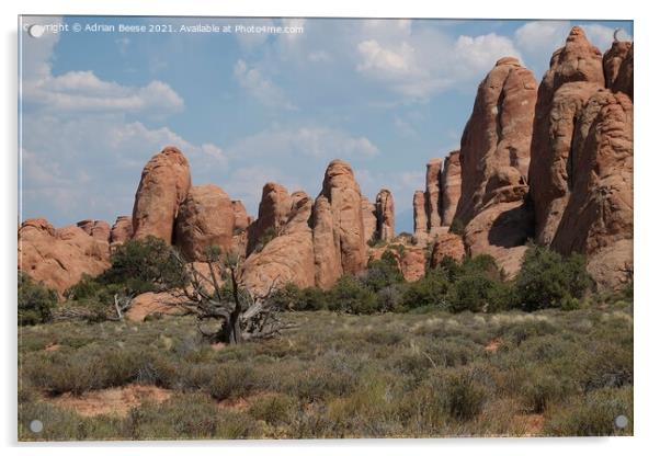 A all of red rock pillars in Arches National Park Acrylic by Adrian Beese