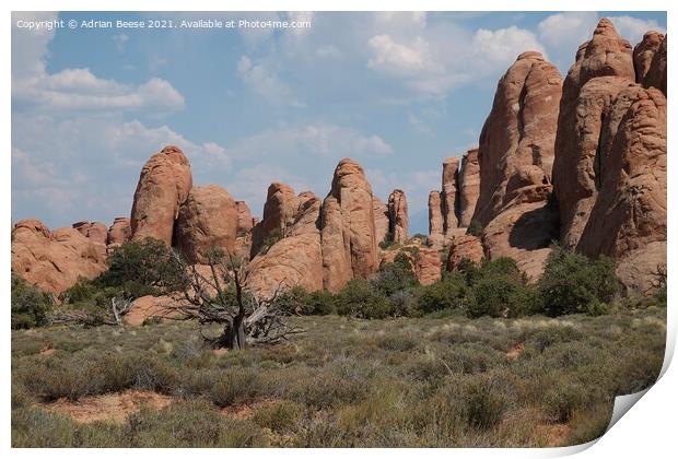 A all of red rock pillars in Arches National Park Print by Adrian Beese