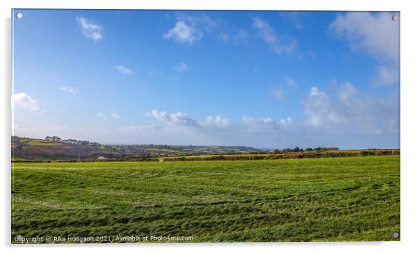 Cornish Country side Landscape, Cornwall, England Acrylic by Rika Hodgson