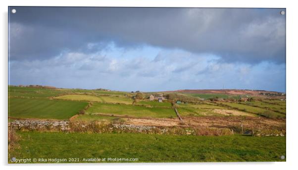 Cornish farming Landscape, England Acrylic by Rika Hodgson