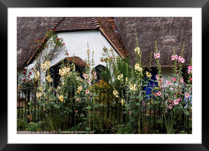 A thatched cottage with Hollyhock flowers Framed Mounted Print by Joy Walker