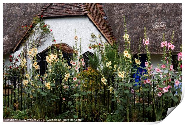 A thatched cottage with Hollyhock flowers Print by Joy Walker