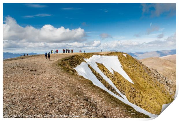 Helvellyn Summit Print by Liz Withey