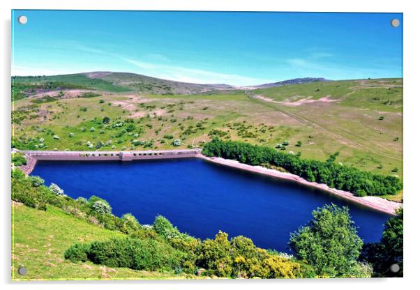 Meldon Reservoir Okehampton Dartmoor Acrylic by austin APPLEBY