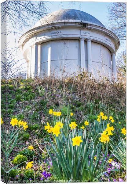 Daffodils in Vale Park Wirral  Canvas Print by Phil Longfoot