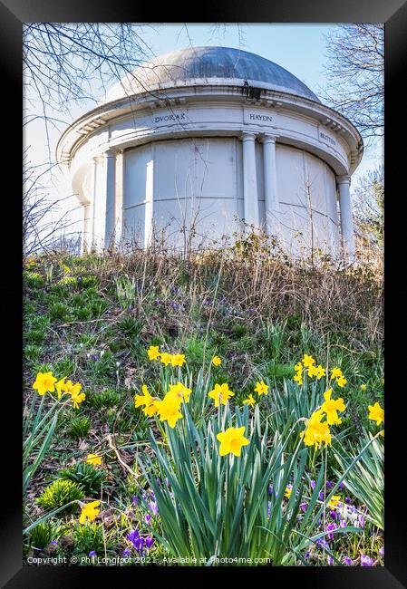 Daffodils in Vale Park Wirral  Framed Print by Phil Longfoot