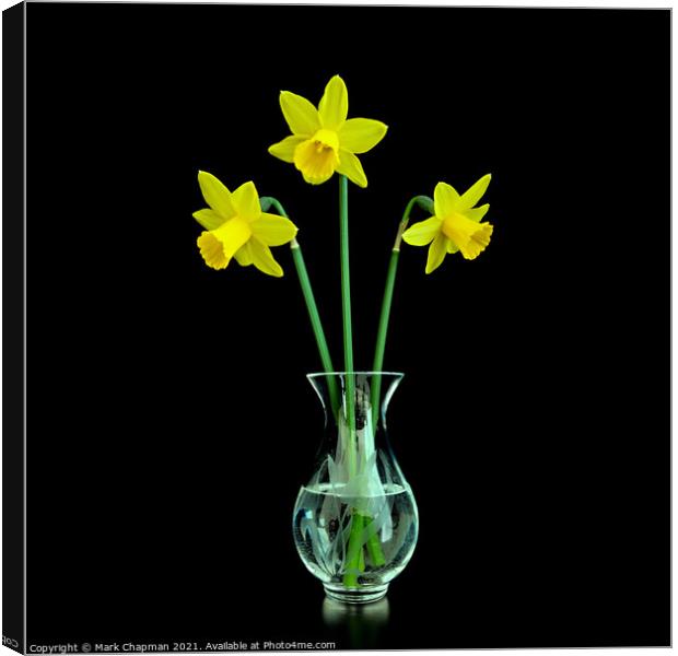 Three Daffodils in Vase Canvas Print by Photimageon UK