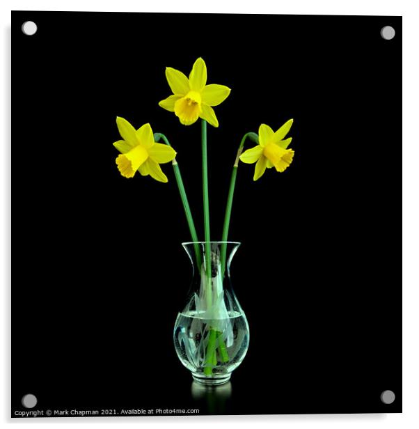 Three Daffodils in Vase Acrylic by Photimageon UK