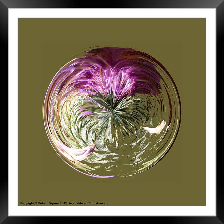 Spherical Paperweight Thistle Sphere Framed Mounted Print by Robert Gipson