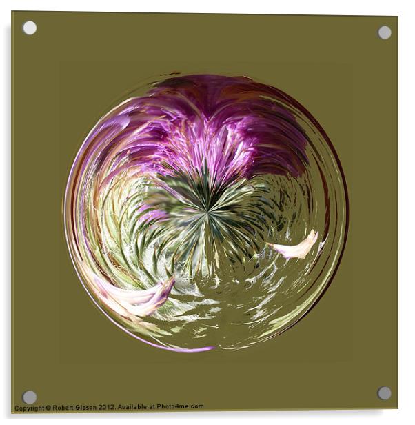 Spherical Paperweight Thistle Sphere Acrylic by Robert Gipson