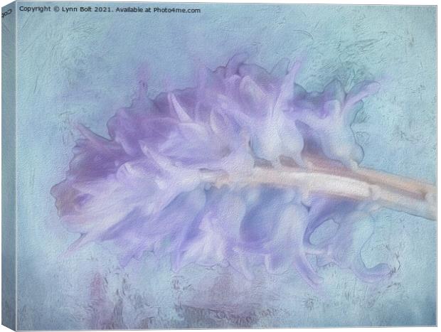 Hyacinth Canvas Print by Lynn Bolt
