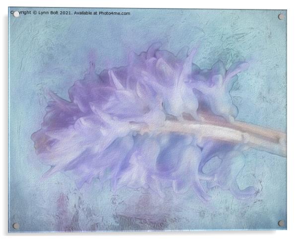 Hyacinth Acrylic by Lynn Bolt