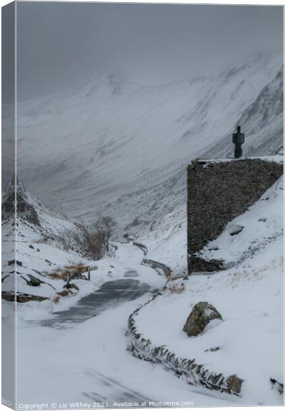 After the Blizzard, Honister Pass Canvas Print by Liz Withey