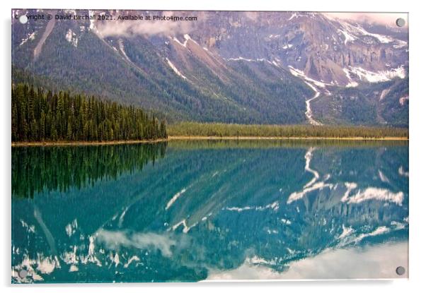 Emerald Lake reflections, Yoho National Park, Canada Acrylic by David Birchall