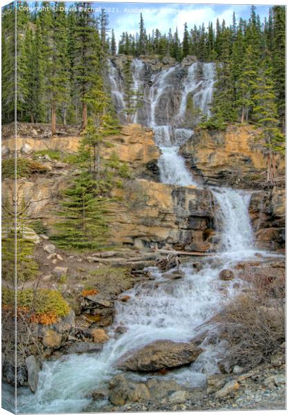 Tangle Falls, Jasper National Park, Canada. Canvas Print by David Birchall