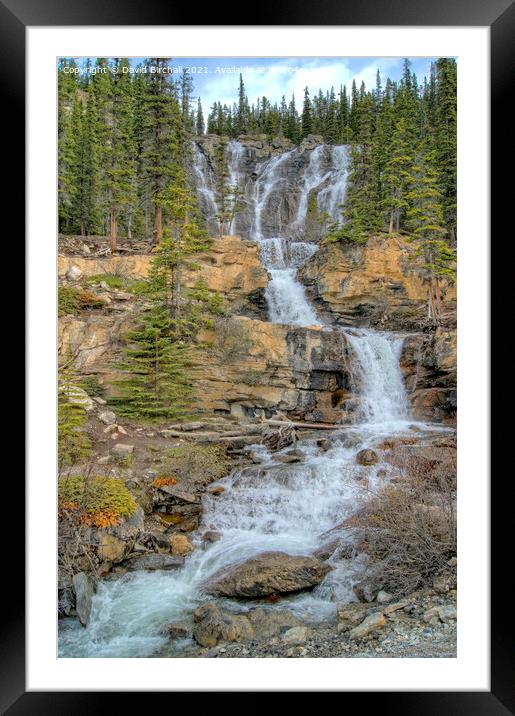 Tangle Falls, Jasper National Park, Canada. Framed Mounted Print by David Birchall