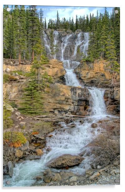 Tangle Falls, Jasper National Park, Canada. Acrylic by David Birchall