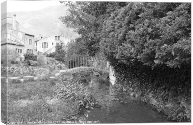 Little bridge over the stream in black and white Canvas Print by Ann Biddlecombe