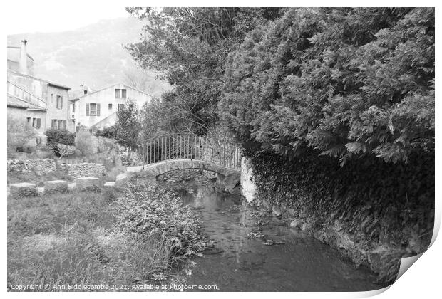 Little bridge over the stream in black and white Print by Ann Biddlecombe