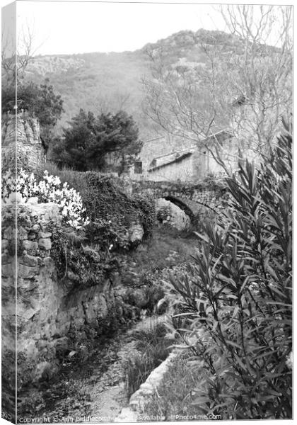 A garden with a bridge over the stream in black and white Canvas Print by Ann Biddlecombe