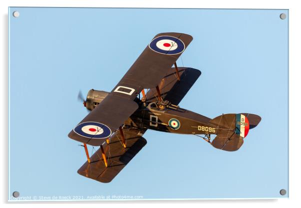 Bristol Fighter Acrylic by Steve de Roeck