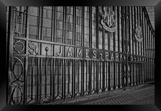 St James Park, Newcastle Framed Print by Rob Cole