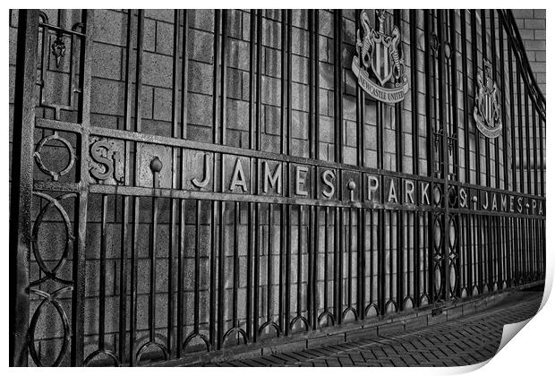 St James Park, Newcastle Print by Rob Cole