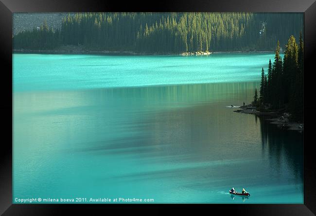 moraine lake in canada Framed Print by milena boeva