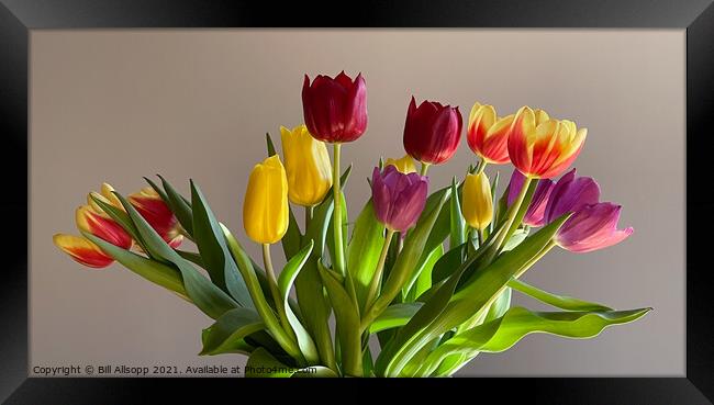 The Spring Vase. Framed Print by Bill Allsopp