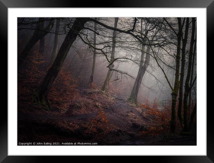 Mist in Redisher Woods Framed Mounted Print by John Ealing