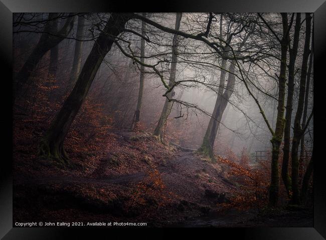 Mist in Redisher Woods Framed Print by John Ealing