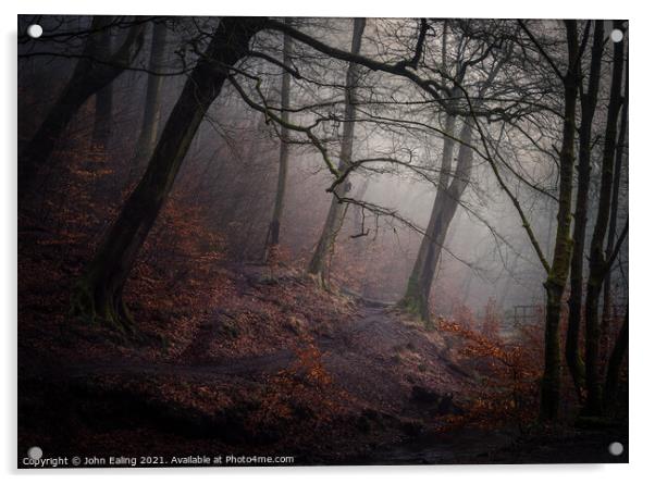 Mist in Redisher Woods Acrylic by John Ealing