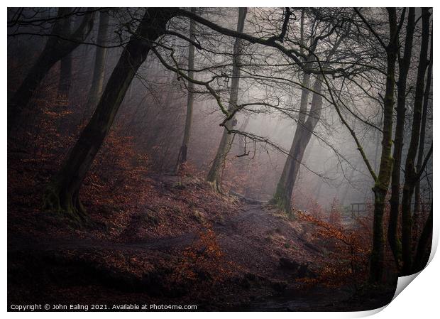 Mist in Redisher Woods Print by John Ealing