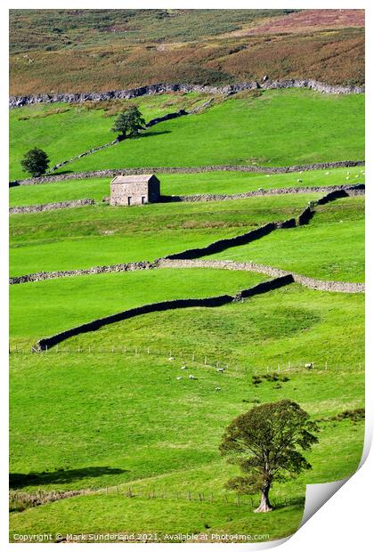 Barn and Dry Stone Walls in Upper Nidderdale Print by Mark Sunderland