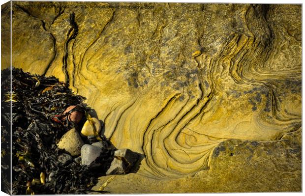 Beach abstract of rock texture and seaweed Canvas Print by Andrew Kearton
