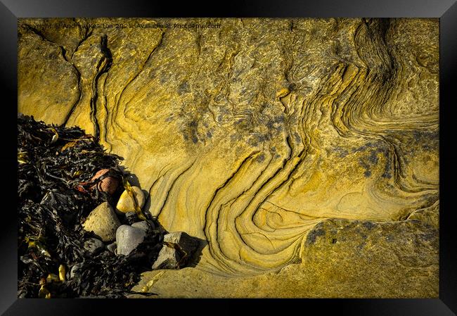 Beach abstract of rock texture and seaweed Framed Print by Andrew Kearton