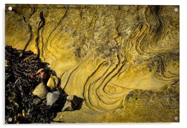 Beach abstract of rock texture and seaweed Acrylic by Andrew Kearton